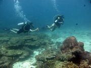 Diving @ Koh Haa with Dive & Relax