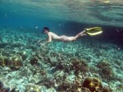 Snorkel @ Koh Haa with Dive & Relax