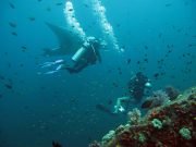 Advanced Open Water Diver on Koh Lanta with Dive & Relax