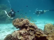 Discover Scuba Diving on Koh Lanta with Dive & Relax